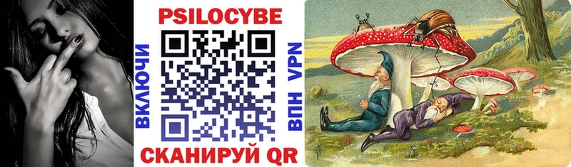 Галлюциногенные грибы мицелий купить наркотик Пошехонье